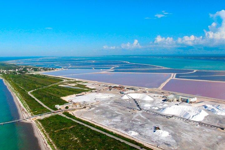 From Cancun: Rio Lagartos, Coloradas and Mayan Bath