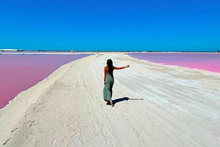 From Cancun: Rio Lagartos, Coloradas and Mayan Bath