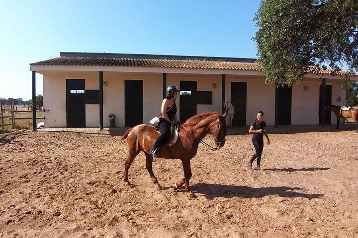 Équitation depuis Madrid