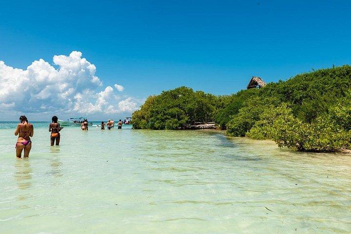 Riviera Maya: Heldagsudflugt til Holbox med afhentning