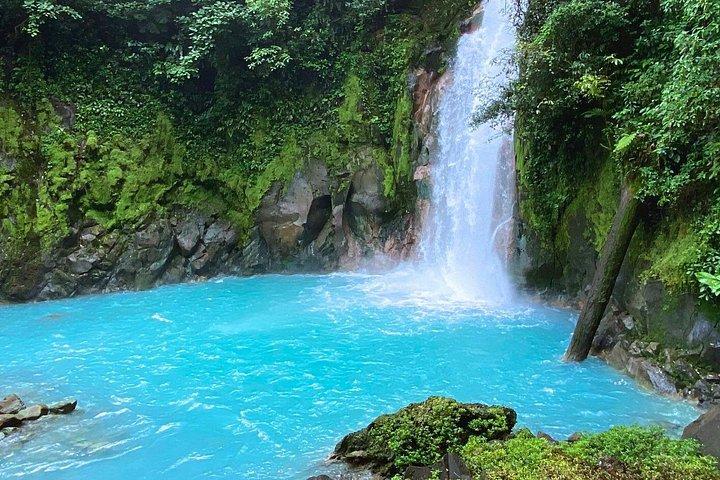 リオセレステ遠征－ナマケモノ、滝、自然の魔法