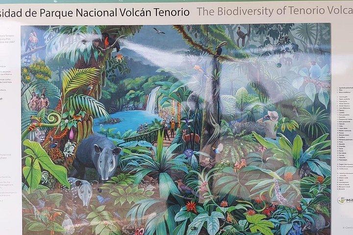 リオ セレステ テノリオ火山国立公園をハイキング