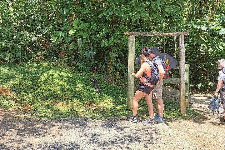 リオ セレステ テノリオ火山国立公園をハイキング