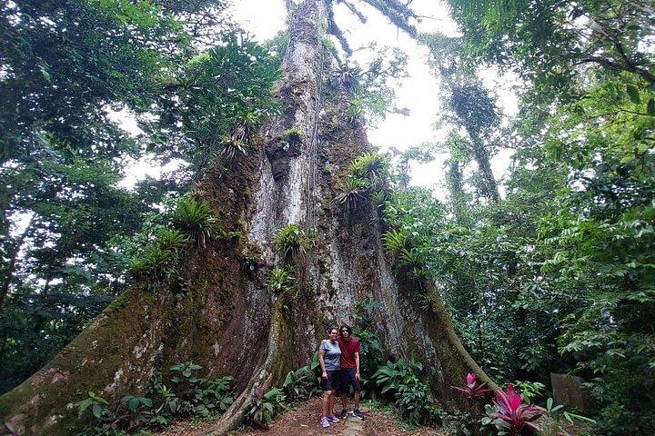 リオ セレステ テノリオ火山国立公園をハイキング
