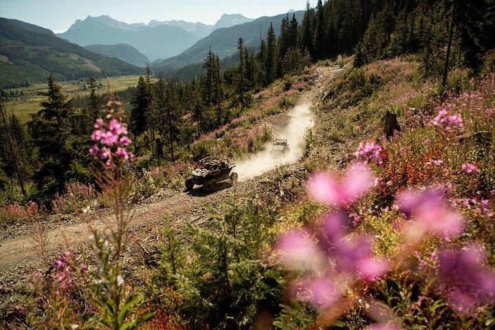 Offroad-Abenteuer auf dem Cougar Mountain