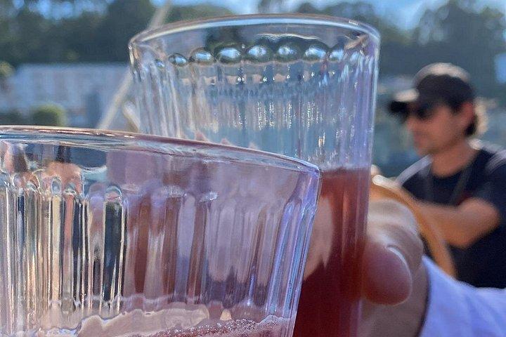 ドリンク付き、ポルトの6つの橋を巡る小グループ ドウロ川クルーズ