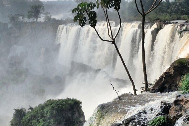 イグアスの滝 ブラジルとアルゼンチンの 1 日ツアー