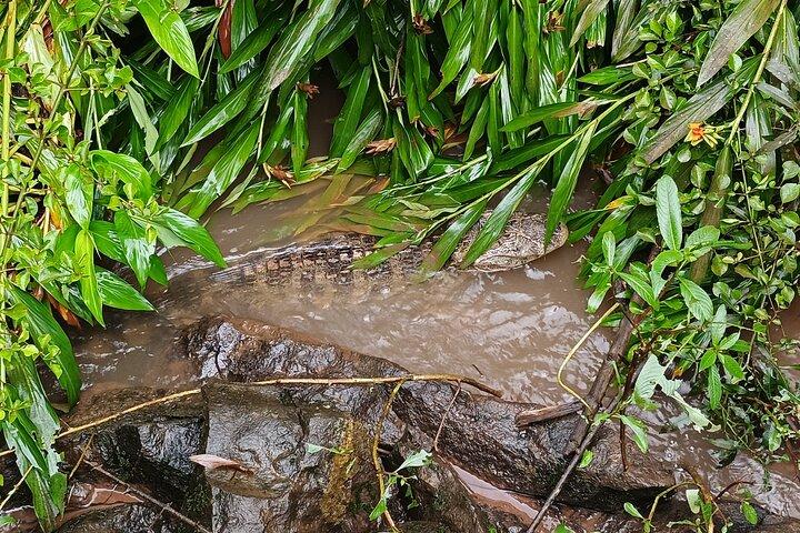 イグアスの滝 ブラジルとアルゼンチンの 1 日ツアー