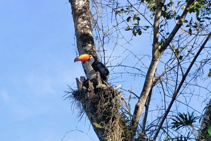 イグアスの滝 ブラジルとアルゼンチンの 1 日ツアー