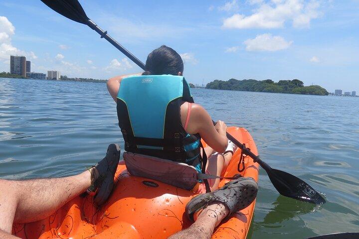 Kayak Ecotourisme dans la baie de Miami