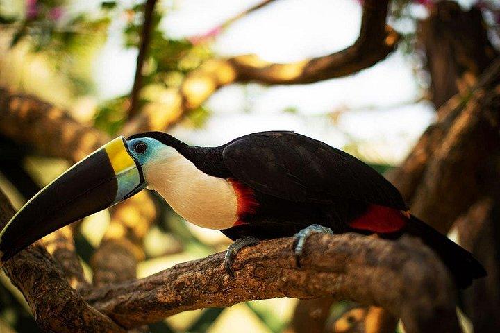 4 Day : Sandoval Lake Lodge - Amazon Peru