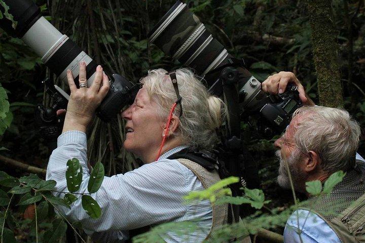 4 Day : Sandoval Lake Lodge - Amazon Peru