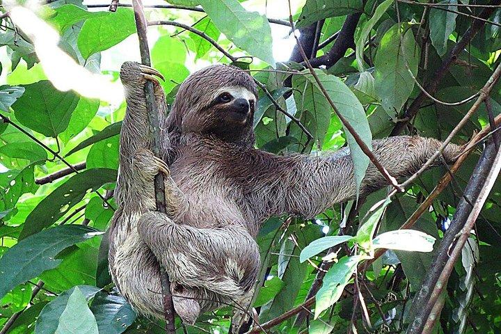 4 Day : Sandoval Lake Lodge - Amazon Peru