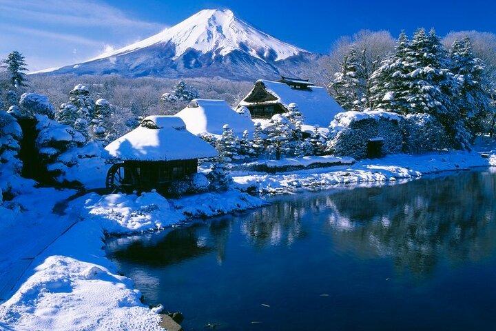 河口湖ロープウェイで富士山ツアー（英語対応）