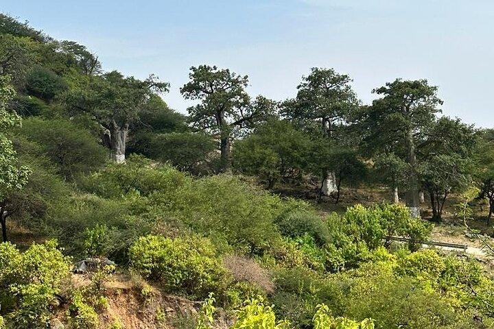 Khareef Salalah - Dia inteiro nas montanhas e cachoeiras
