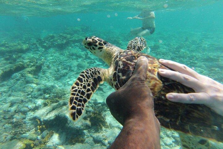 Rondleiding door nylon zwembad met glazen bodem in Buccoo Reef