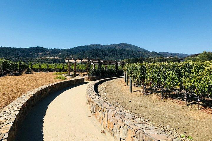 A Remarkable Scavenger Hunt: Napa Reflections