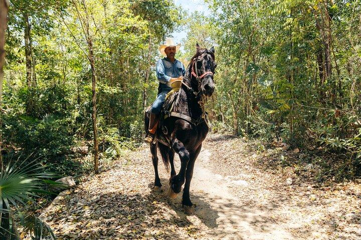 Rider Tour, Ridning, ATV och Cenote