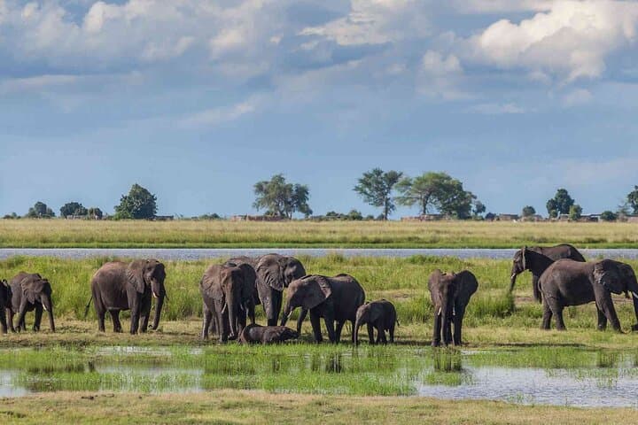 3Day Small Group Masai Mara Safari Tour