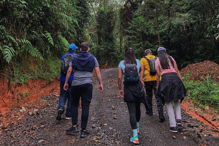 San Antonio Rain Forest Cali Private Tour