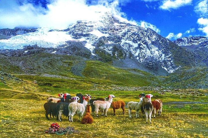 Full Day - Rainbow Mountain tour - Group Service