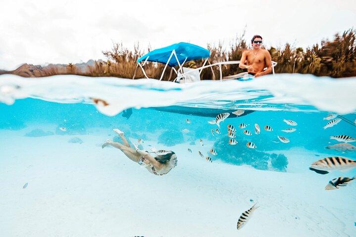 Entdeckung der Lagune und der Tierwelt auf einem Privatboot in Moorea