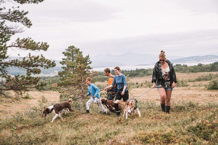 Caminhada com Husky e visita ao cachorrinho com almoço