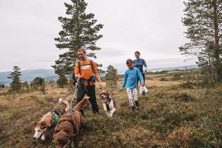 Caminhada com Husky e visita ao cachorrinho com almoço