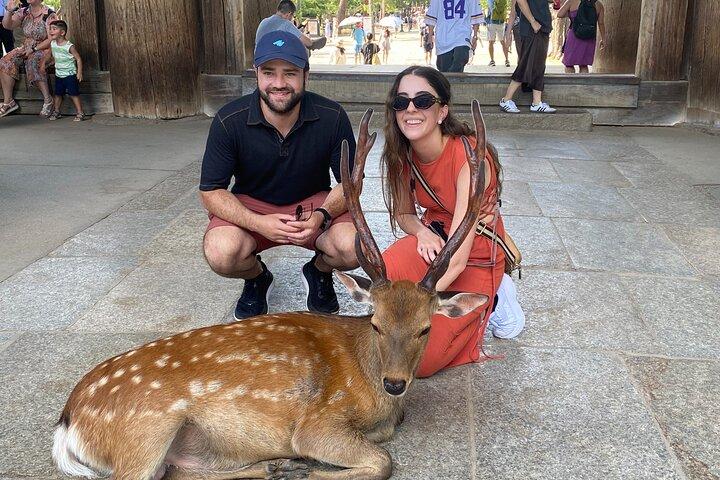 Excursions d'une journée de luxe exclusives à Serene Nara