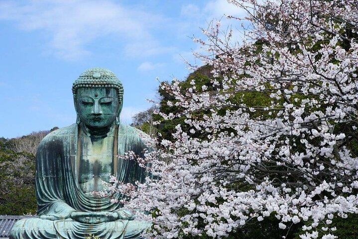 鎌倉 1 日ツアー: 高徳院、江ノ島、八幡宮
