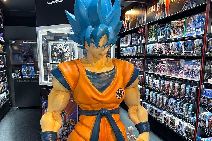 プライベート秋葉原レトロ東京アニメゲームメイドカフェツアー（送迎付き）