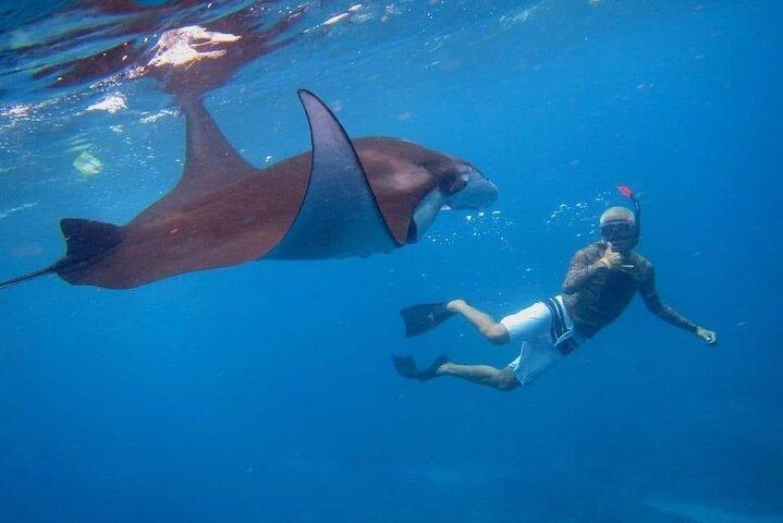 Diviértete 1 día en Nusa Penida: snorkeling, kelingking y playa rota con almuerzo incluido