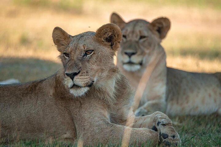 Endags Akagera Wildlife Safari