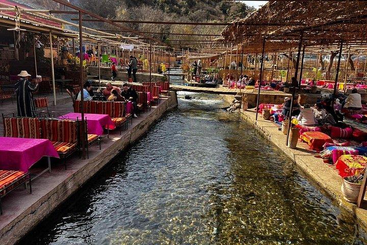 Marrakech: Ourika Valley, Cascate dell'Atlante con guida e pranzo