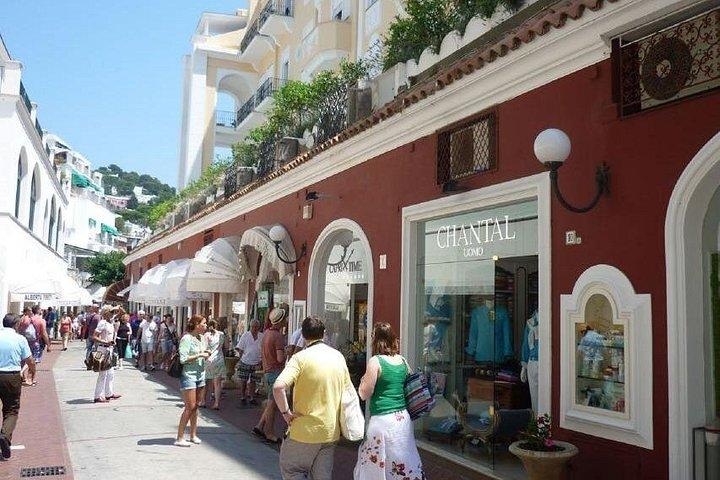 Capri Express: Explore Capri in a Day - Cruise Friendly