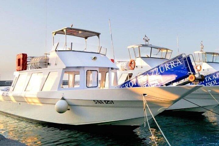 Capri Express: Explore Capri in a Day - Cruise Friendly