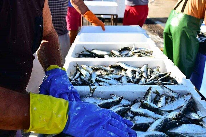 Porto en Matosinhos: sardineproductie - kleine groepsreis
