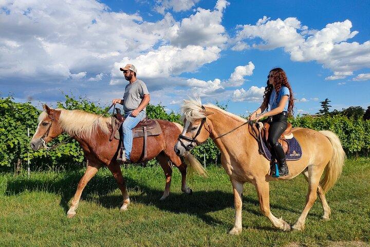 Paseo a caballo de 2 horas en el campo del lago de Garda