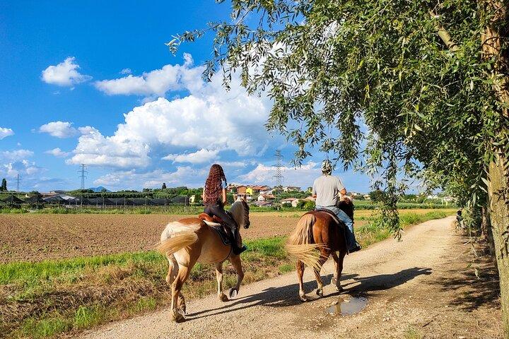 Paseos a caballo con Pic Nic en el campo perezoso