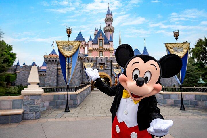 カリフォルニア州のディズニーランド・リゾート・アナハイムのチケット