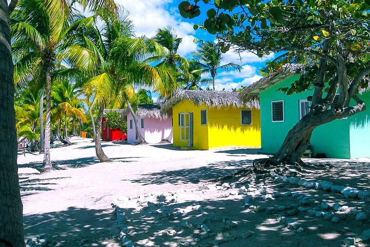 Journée complète sur l'île de Catalina au départ de Saint-Domingue avec plongée en apnée facultative incluse