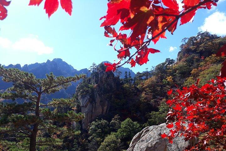 束草魚市場、束草海水浴場、紅葉山