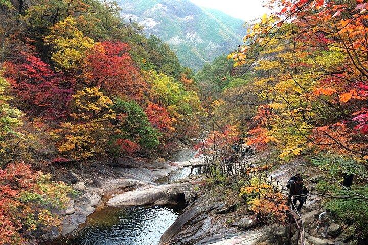 束草魚市場、束草海水浴場、紅葉山