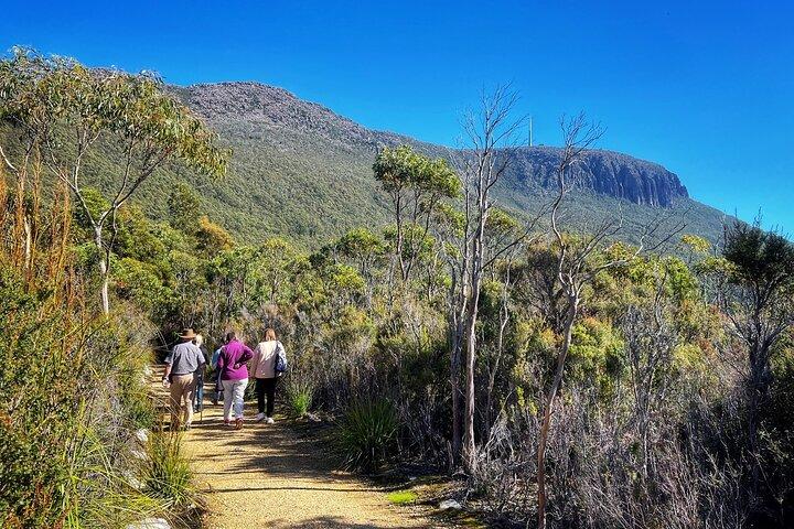 kunanyi/Mt Wellington Ultimate Experience Après-midi