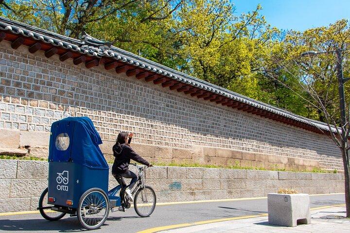 Tour privato notturno di Cheonggyecheon