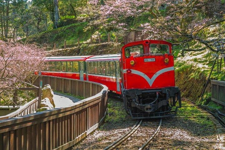 Alishan Join-in Day Tour da Taichung (incl. ingresso al parco)