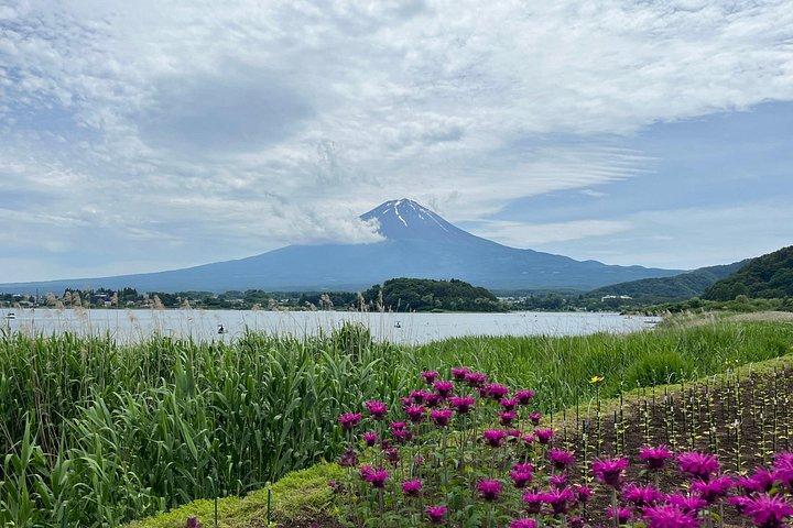 富士山の素晴らしい自然を体験 - プライベート ツアー