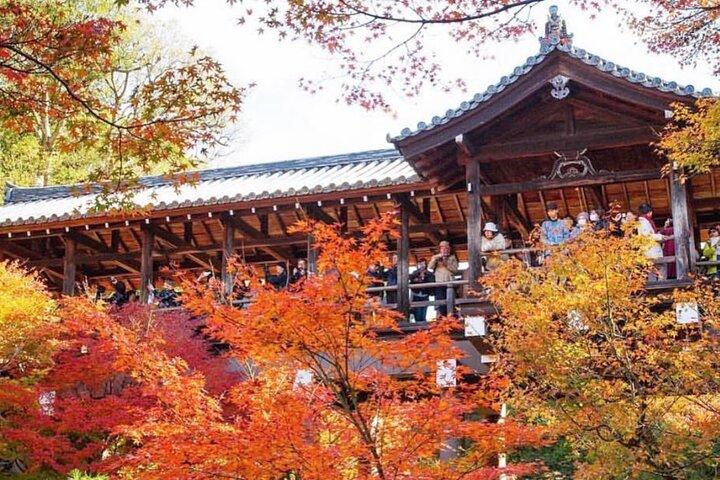 京都ツアー 12時間 プライベート名古屋送迎あり