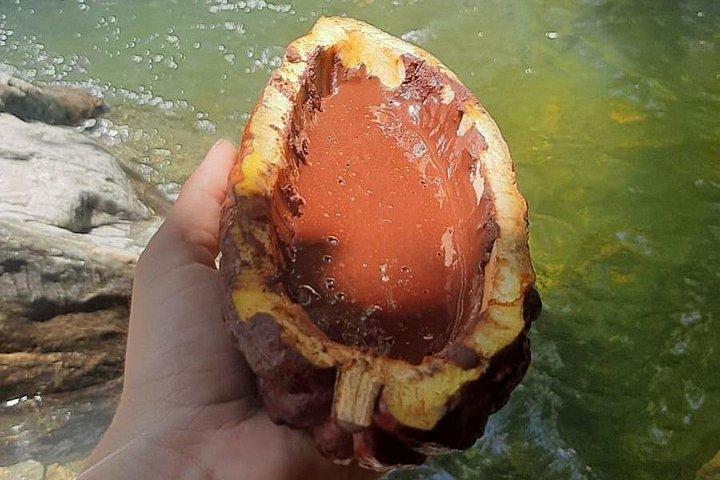 Chocolate roads at Camantours with Waterfall Experience