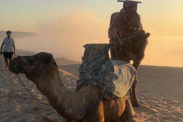 Agadir /Taghazout: Timlalin Dunes Adventure Sandboarding & Sunset